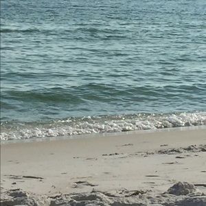 Meet your Posher, Lynn